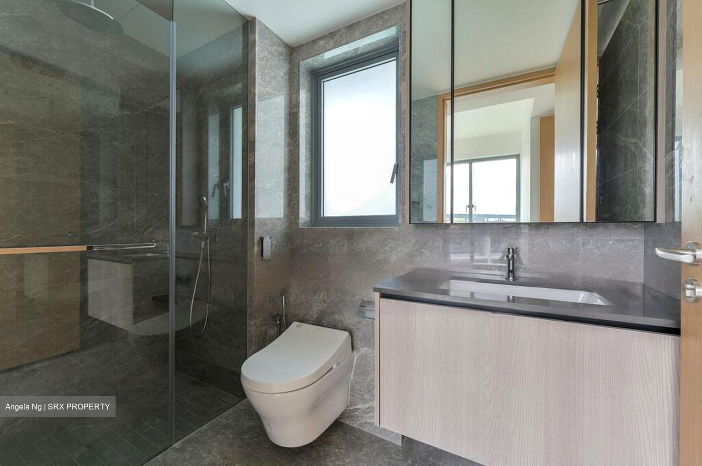 One Holland Village Residences (D10), Apartment #484628861